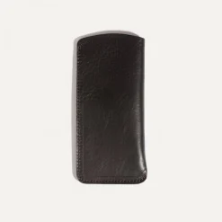 Binocle glasses case