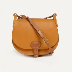 Diane L Gibecière bag