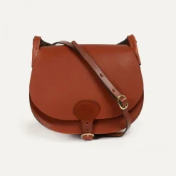 Diane L Gibecière bag